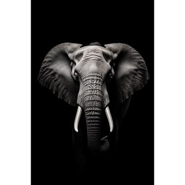Black Elephant Canvas